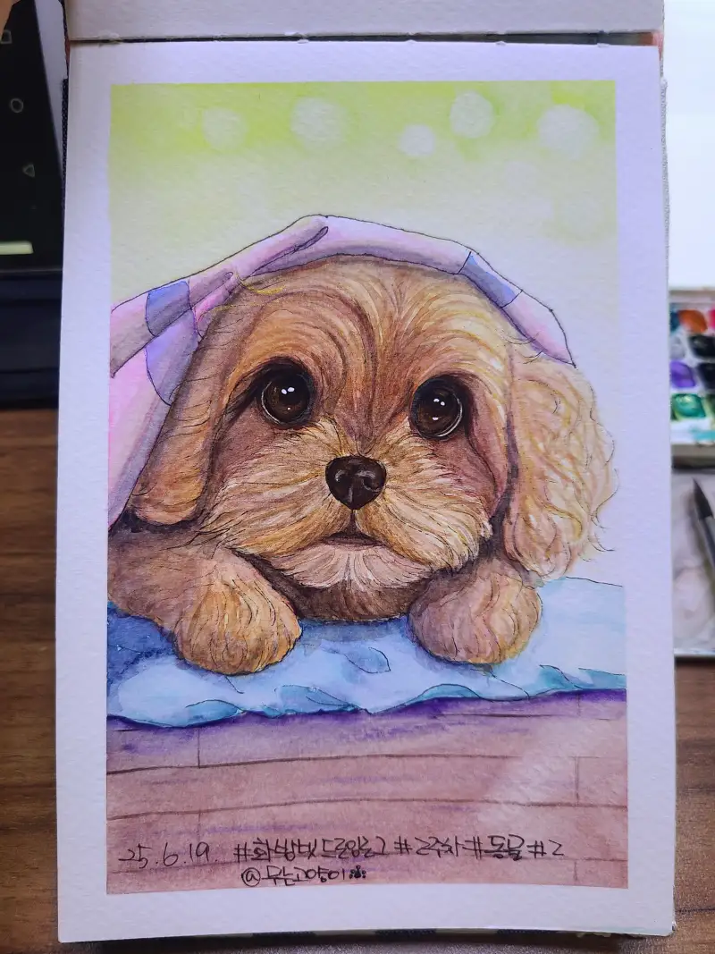 화방넷드로잉로그,드로잉로그9기,2주차,동물,댕댕이,멍멍이,강아지,반려견,코카푸,말티푸,사랑스러워,펜수채화,동기부여,그림습관,만세만세만만세