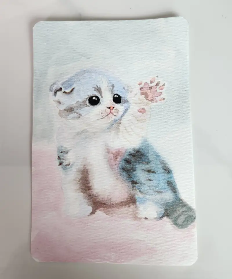 루벤스720시리즈6호