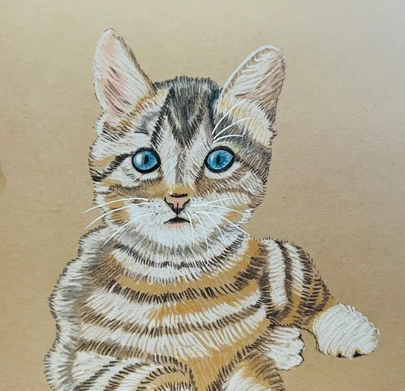 화방넷,화방넷드로잉로그,색연필드로잉,동물그리기