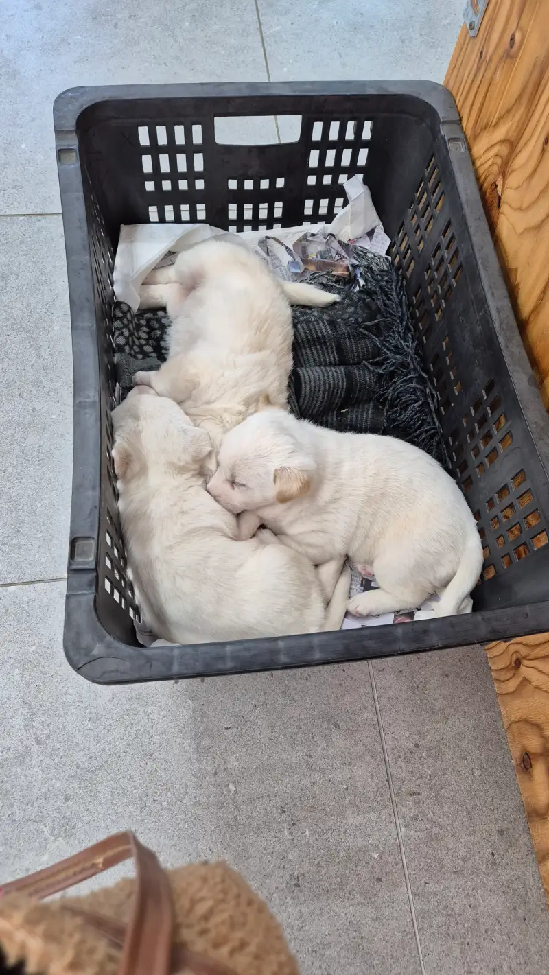 화방넷,드로잉로그,드로잉로그9기