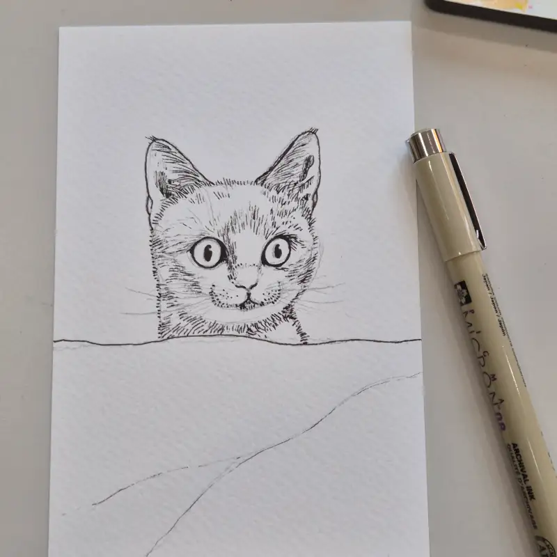 사쿠라피그먼트펜,파브리아노