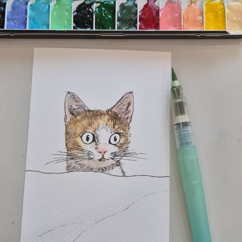 신한전문가용수채화물감