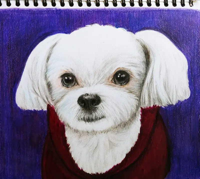 화방넷드로잉로그