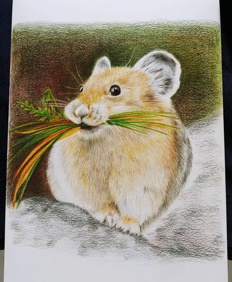 화방넷드로잉로그