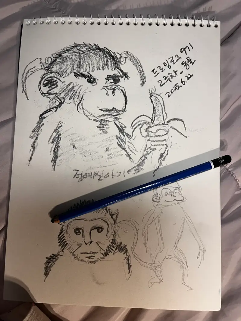 스테들러미스100_12B