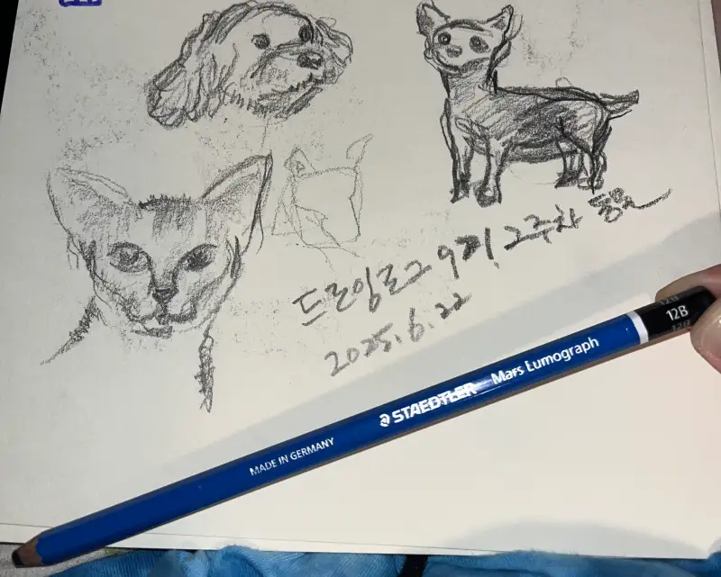 스테들러마스12B