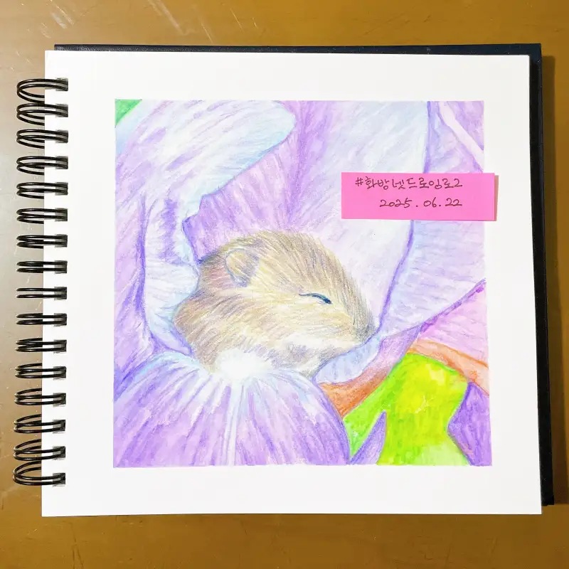 마르코,마르코르누아르,수채색연필