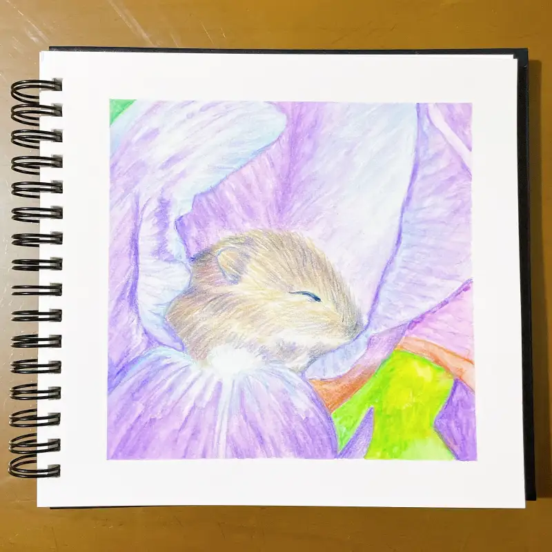 마르코,마르코르누아르,수채색연필