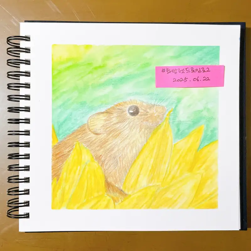 마르코,마르코르누아르,수채색연필