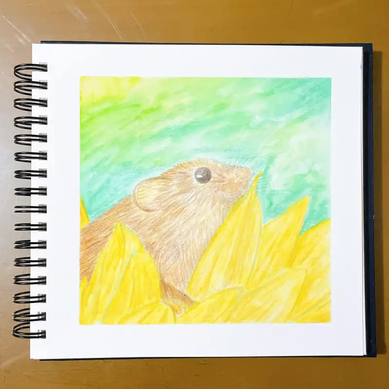 마르코,마르코르누아르,수채색연필