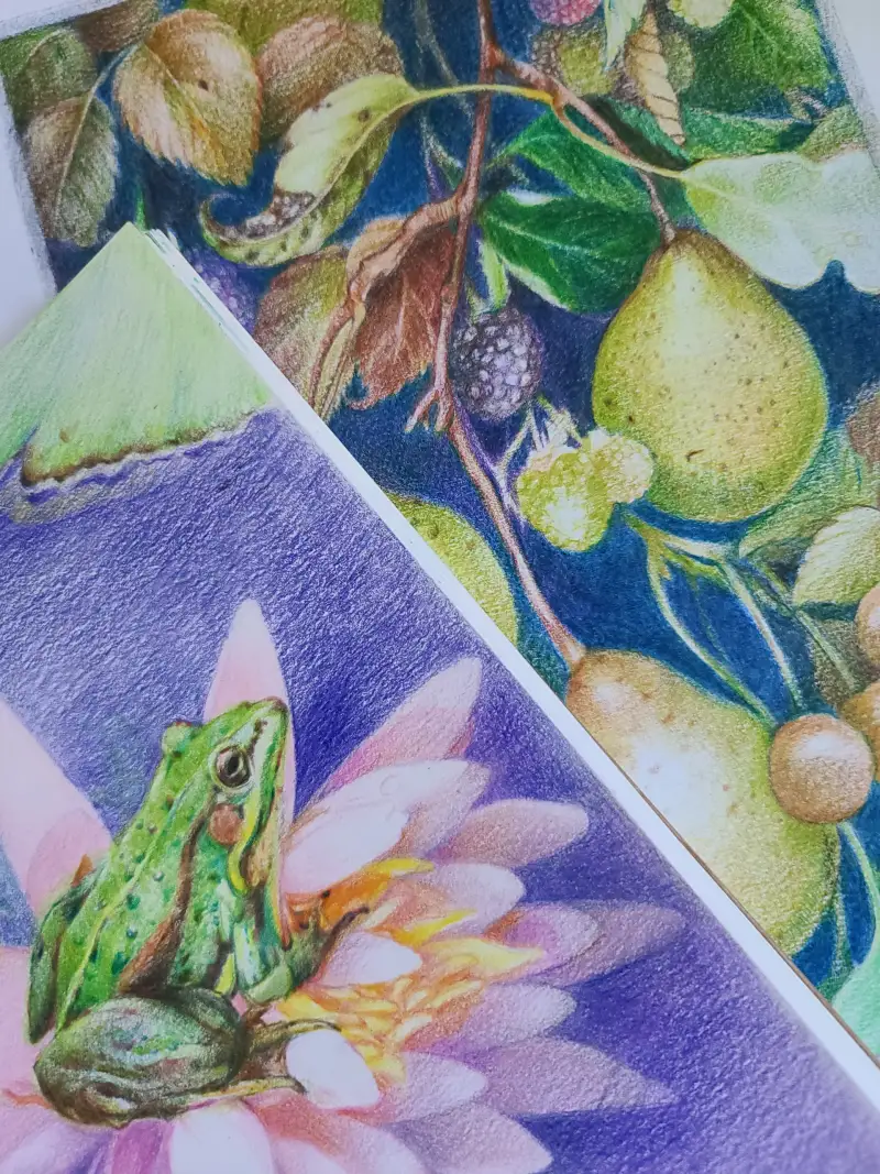 개구리,연꽃,연못,복이오는그림