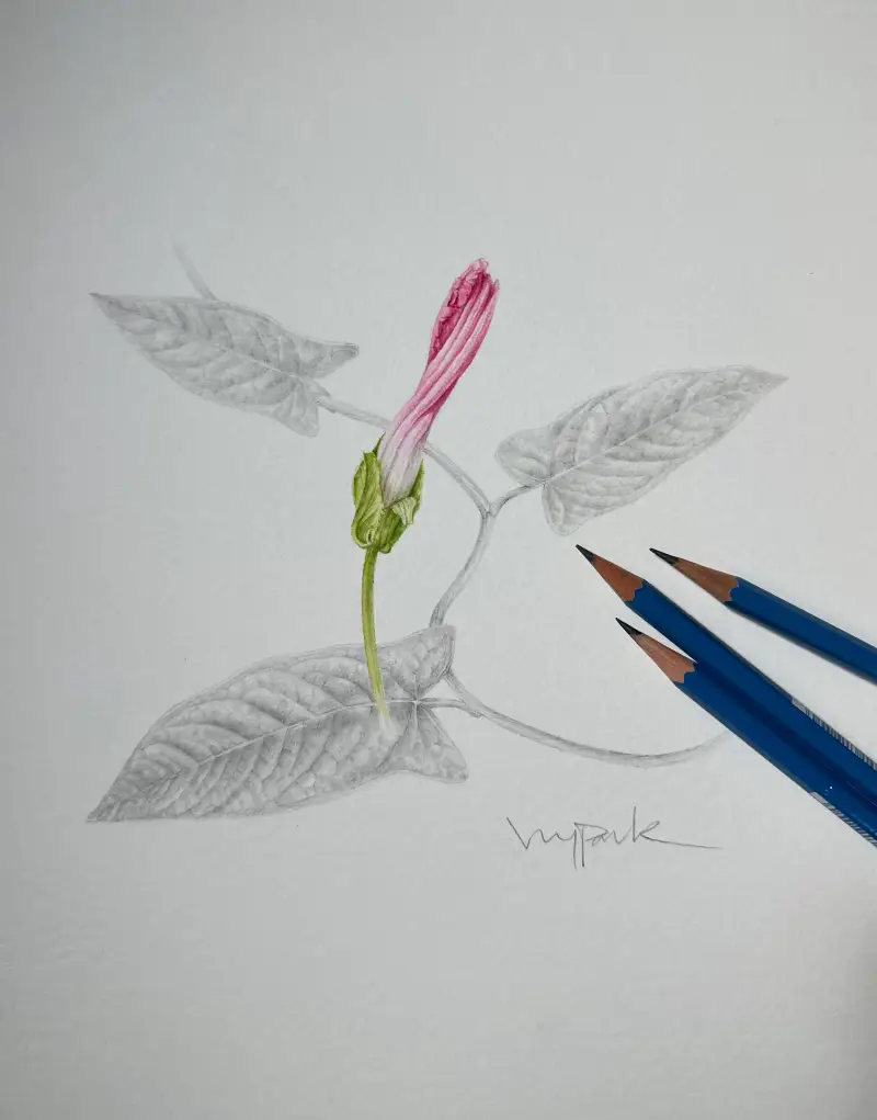 협찬,화방넷,스테들러,체험단,마스루모그라프,전문가용연필