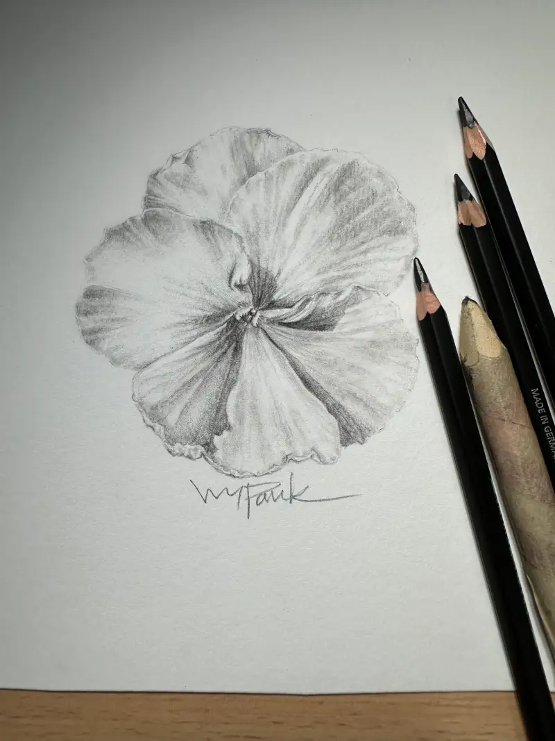 협찬,화방넷,스테들러,마스루모그라프아티스트용연필