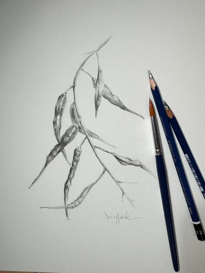 협찬,화방넷,스태들러,마스,루모그라프수채용연필