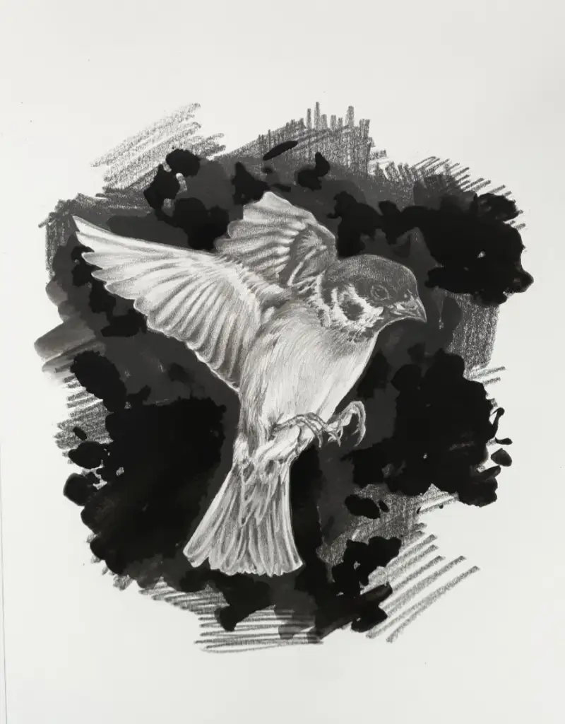 스테들러수채연필,수채연필,스테들러