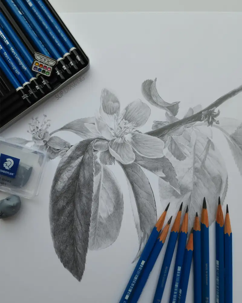 마스루모그라프,H브리스톨지