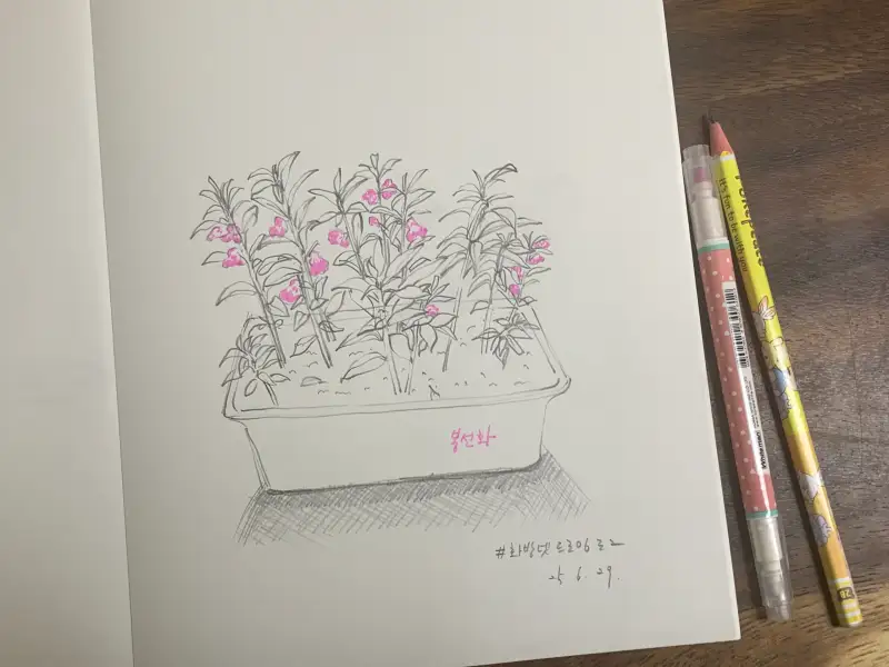 화방넷드로잉로그