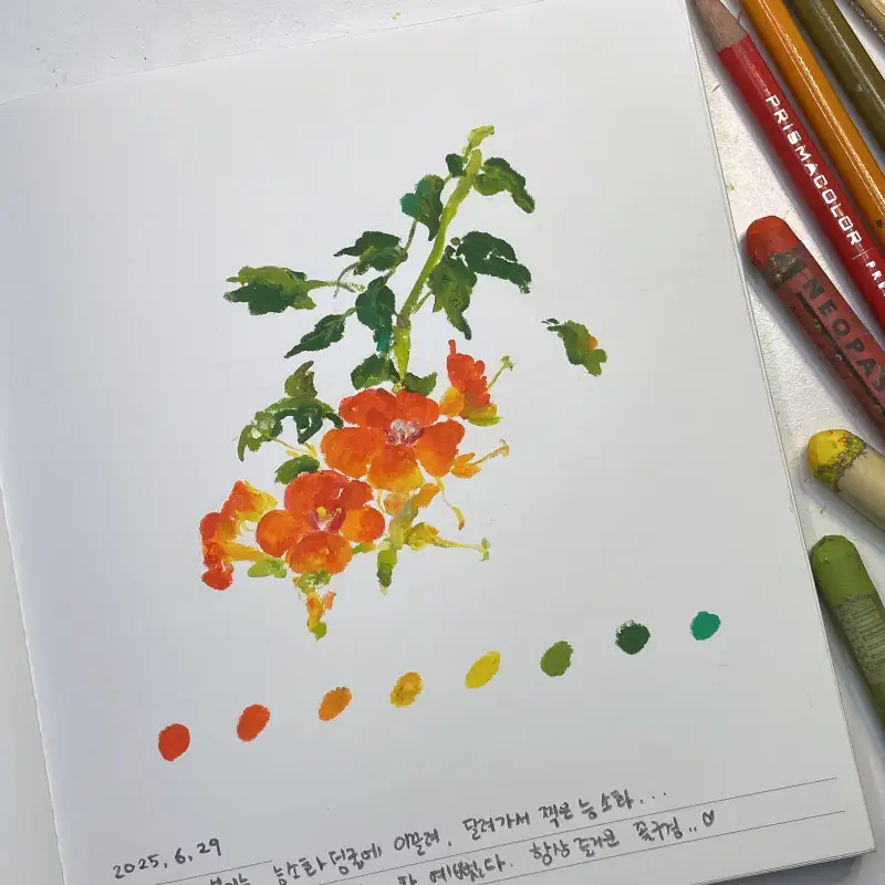 화방넷드로잉로그,새미