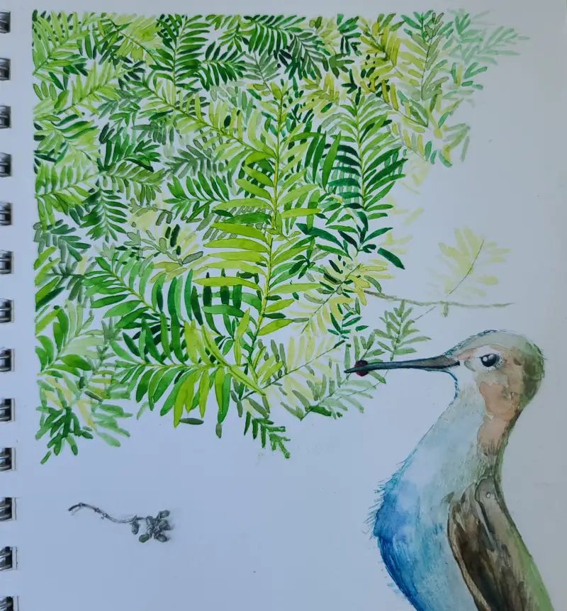 화방넷드로잉로그,드로잉로그여름방학