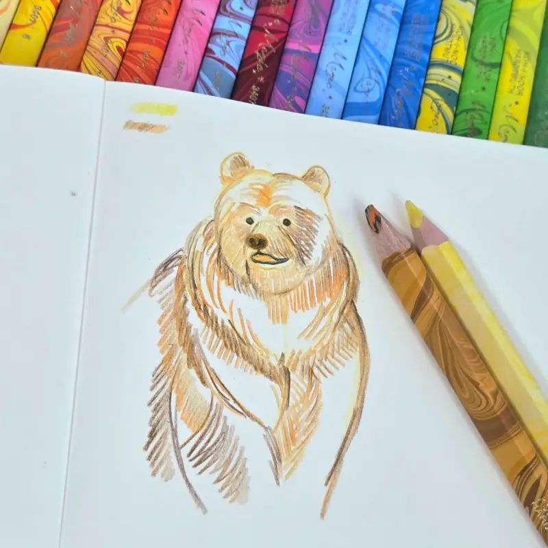 망충한표정,곰,색연필