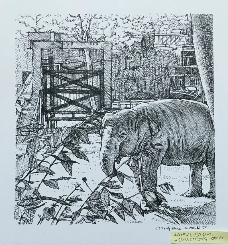 화방넷드로잉로그10기,드로잉로그여름방학,sakurapigmamicron,화방넷드로잉로그