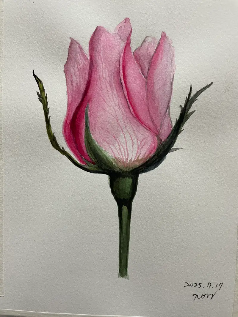 화방넷,드로잉로그10기