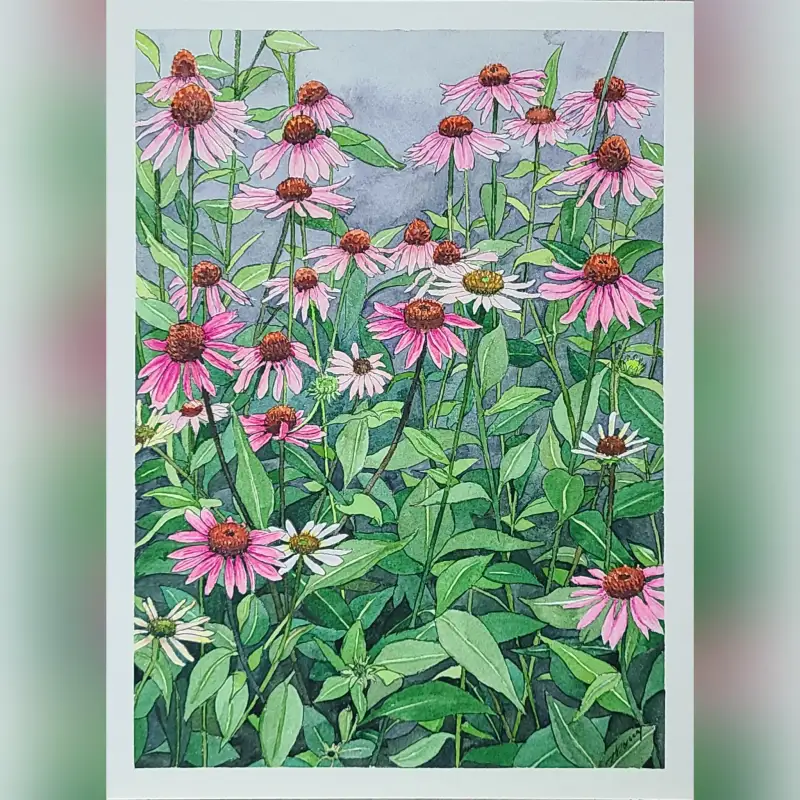 화방넷,홀베인,그래뉼레이션,수채화물감