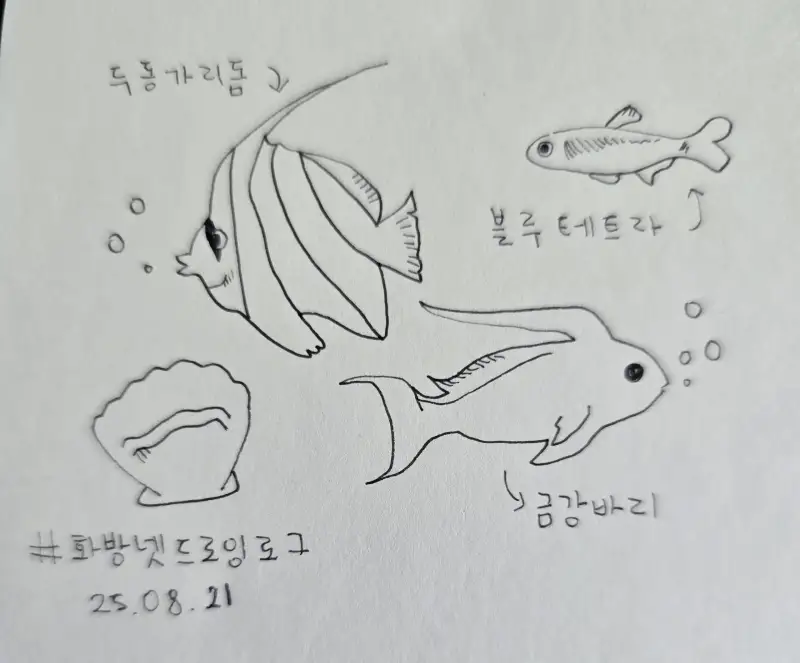 화방넷드로잉로그