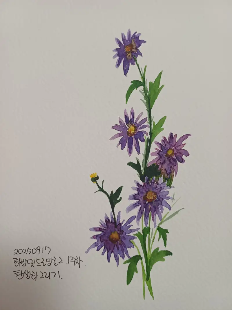 화방넷드로잉로그,1주차,탄생화그리기