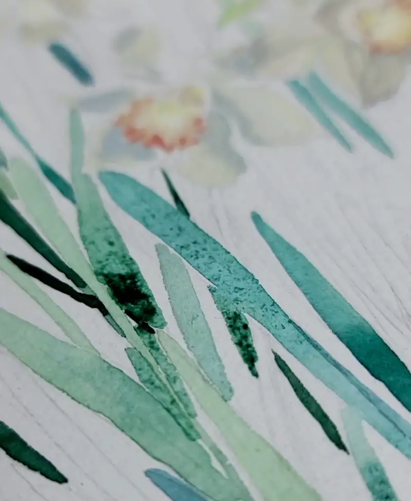 수채화,카디페이퍼,탄생화그리기