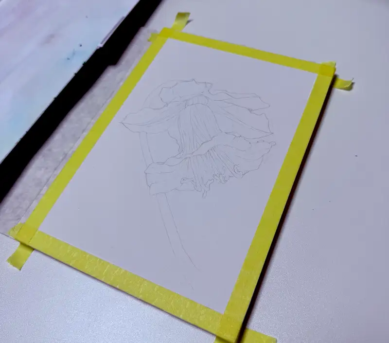 스케치,드로잉로그,탄생화,멕시칸아이비