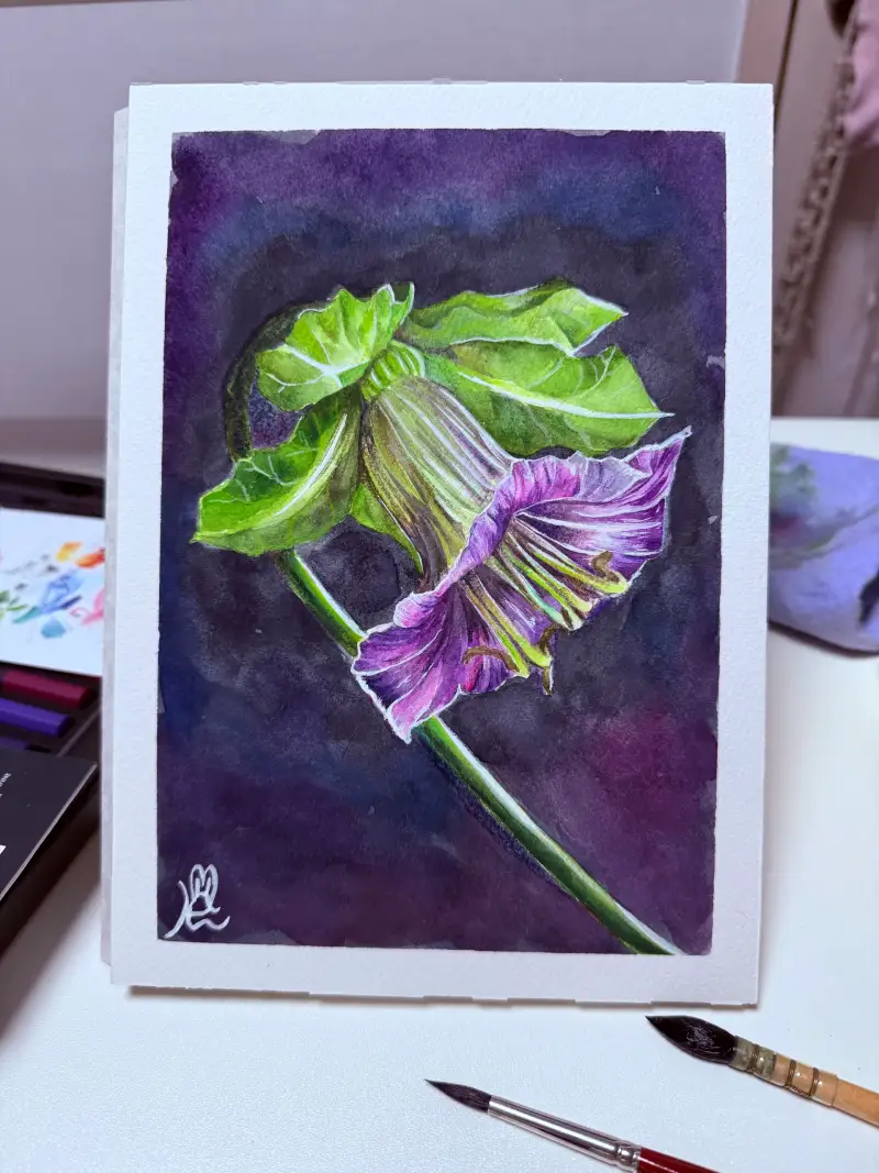 수채화,수채색연필,꽃그림,드로잉로그,멕시칸아이비