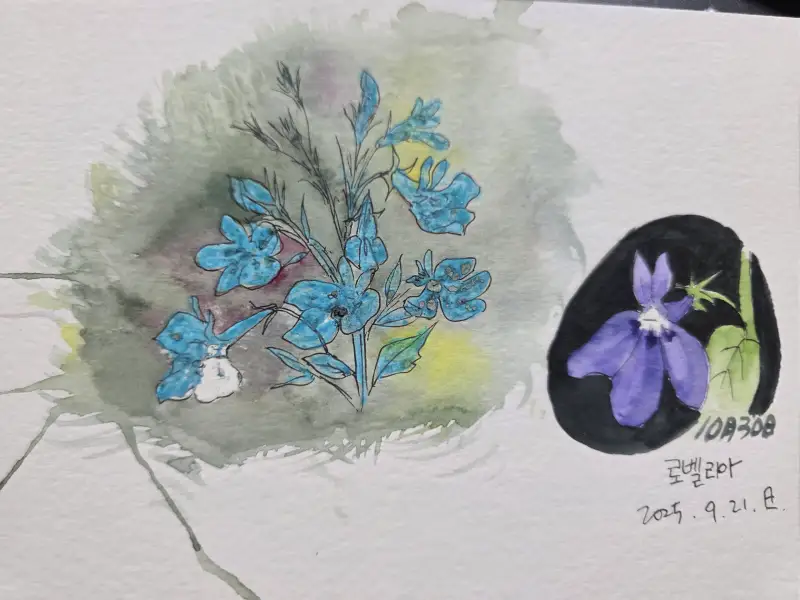 아트라인0.1,세르지오아쿠아렐300g,신한swc수채물감