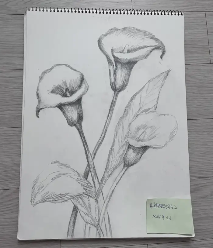 화방넷드로잉로그,화방넷,드로잉로그게시판,드로잉로그,드로잉로그챌린지,탄생화,1주차,드로잉로그12기