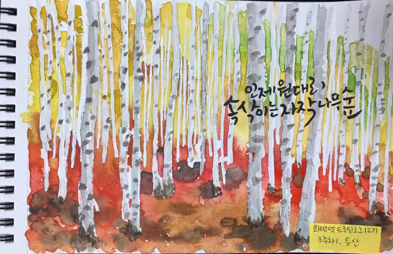 드로잉로그챌린지,화방넷드로잉로그12기등산,가보고싶은산