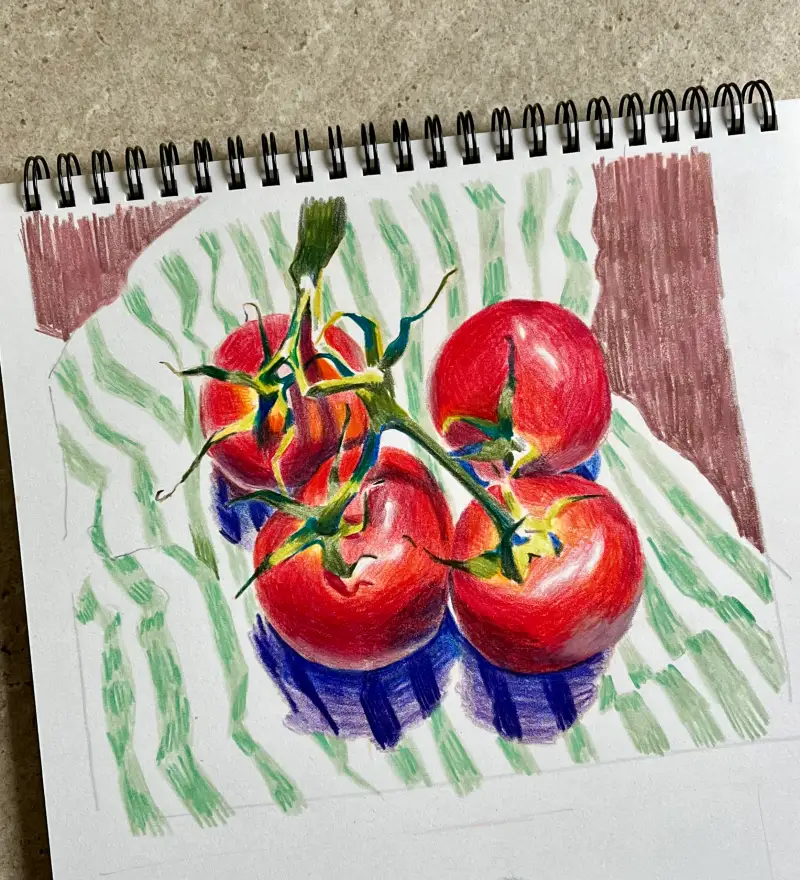 색연필,까렌다쉬,까렌다쉬루미넌스,파펠시노,브리스톨