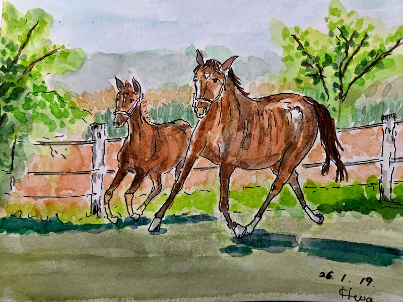 드로잉로그13기,화방넷,홀베인수채물감,캔손워터칼라북A5,말그리기