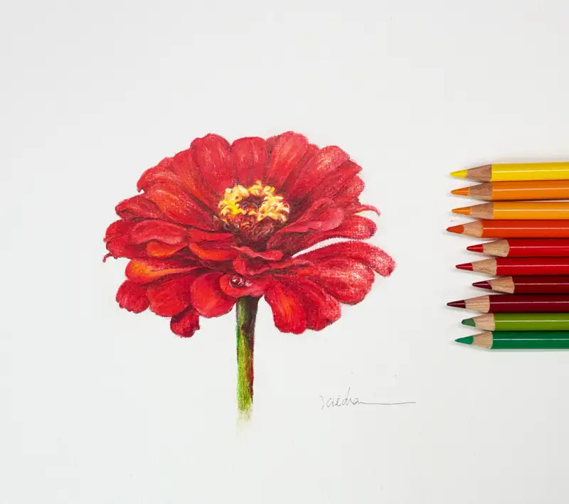 색연필화,파버카스텔색연필,파버카스텔유성색연필,색연필추천