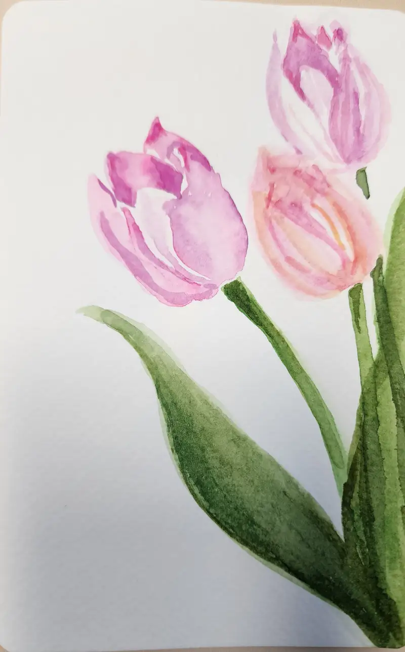 아르쉬,신한물감,캘리그라피용지