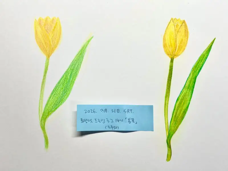 드로잉로그,드로잉로그14기,봄꽃,색연필