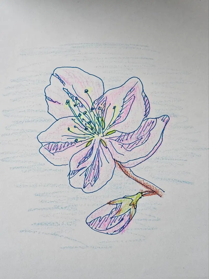 화방넷드로잉로그,드로잉로그