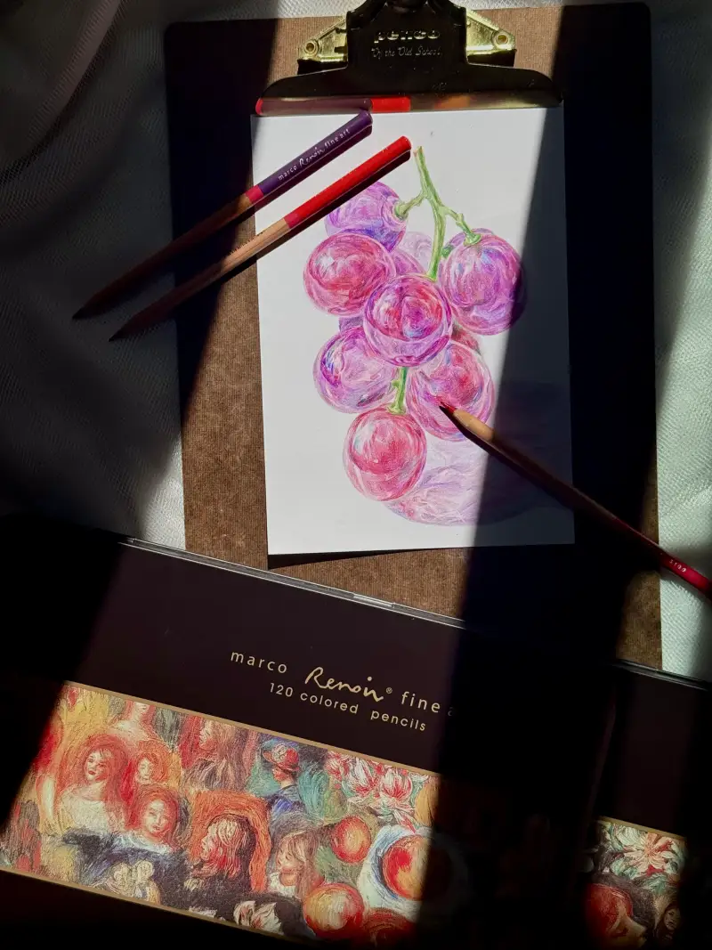 포도,색연필화,보태니컬