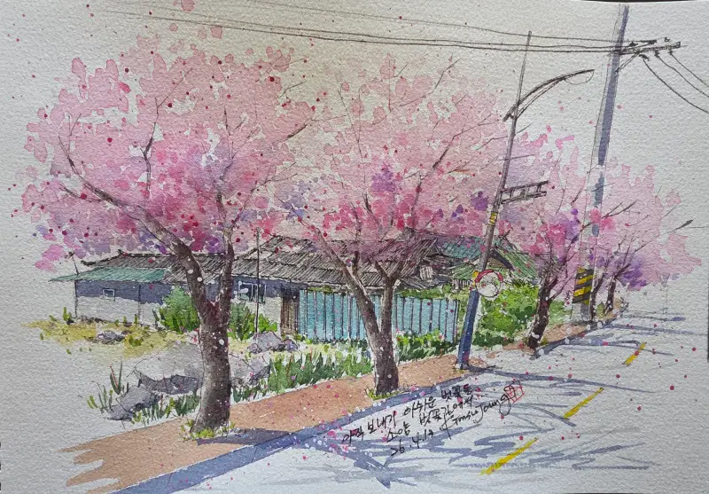 신한SWC수채물감,스테들러피그먼트라이너펜