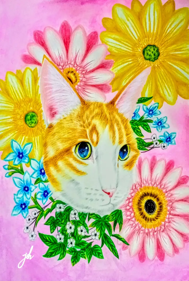 치즈,고양이,얼굴,귀여워