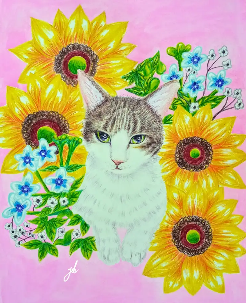 우등생,부리부리,지겨본다,냐옹,해바라기,지켜줘,고양아