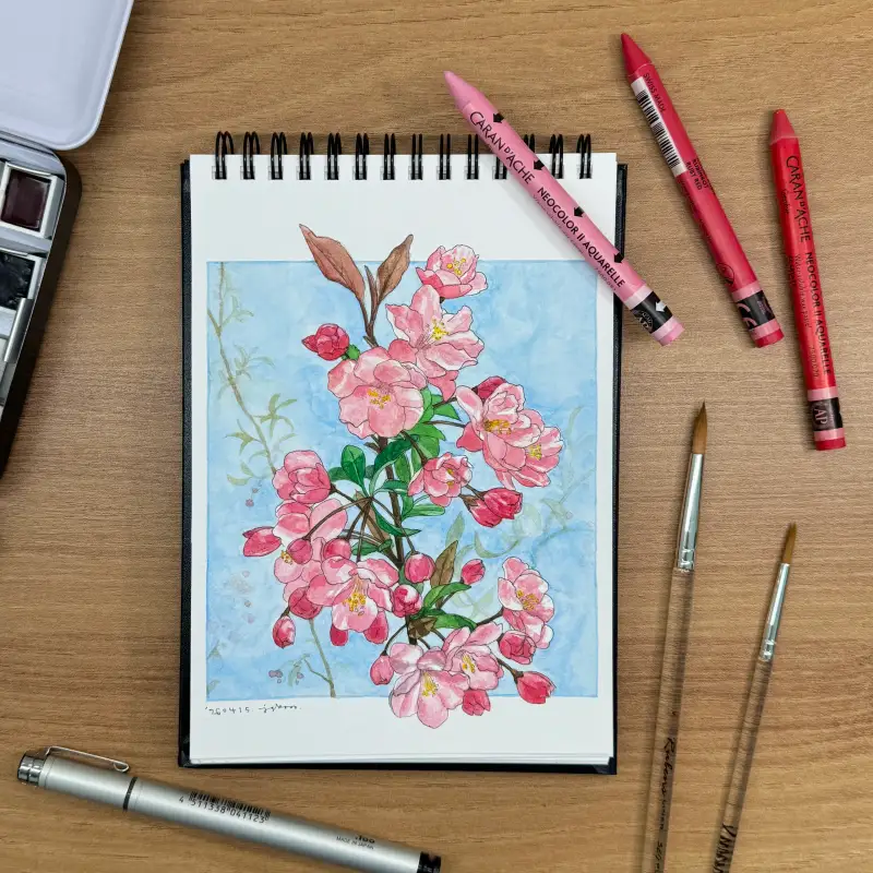 까렌다쉬네오칼라2,램브란트고체물감