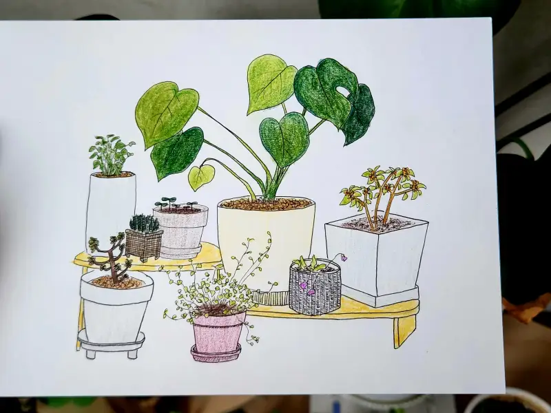 드로잉로그15기,1주차,화분,피그먼트라이너