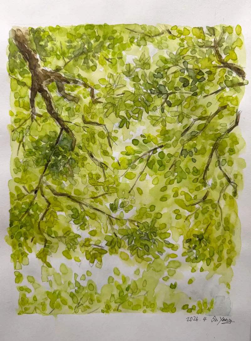 홀베인수채물감,블랙윙연필