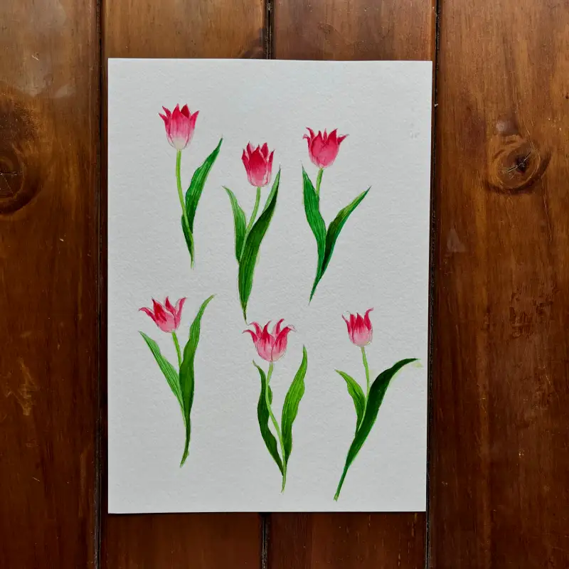 튜울립수채화그림
