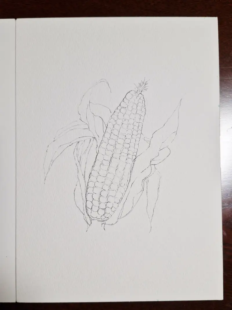 초당옥수수밑그림